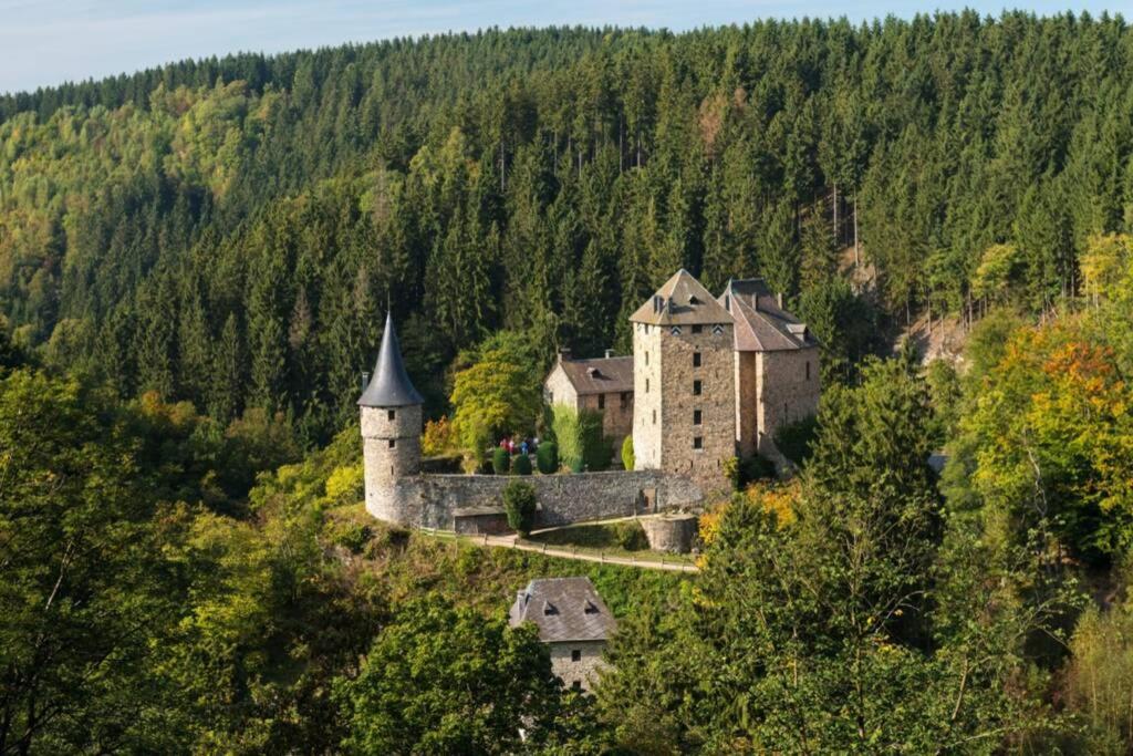 Le Grand Cerf 25 Pers, Malmedy- Chalet Rustique, Jardin 外观 照片